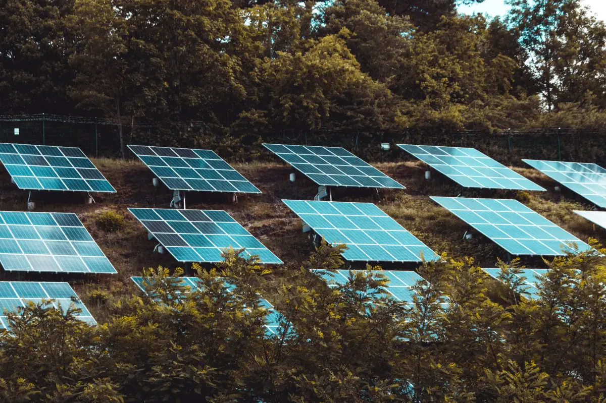 Array of solar panels on a hill. Photographed by Moritz Kindler.